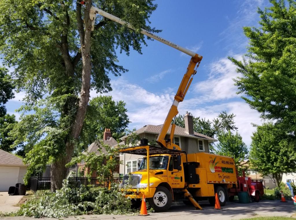 Tree Service Coquitlam Inc. | 1145 Inlet St, Coquitlam, BC V3B 6E8, Canada | Phone: (778) 488-9410