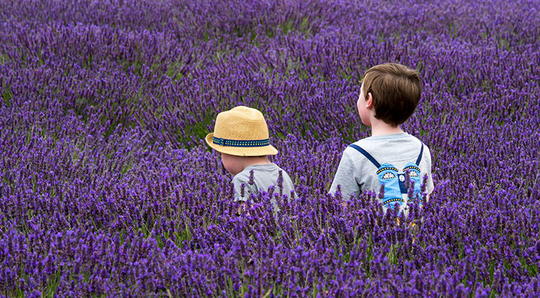 School Les Âmes Fleurs | 2795 Rue Rolland, Sainte-Adèle, QC J8B 1C9, Canada | Phone: (514) 712-8108