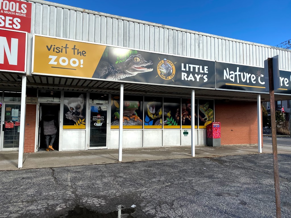 Little Rays Reptile Zoo and Nature Centre- Hamilton | 869 Barton St E, Hamilton, ON L8L 3B4, Canada | Phone: (905) 549-6868
