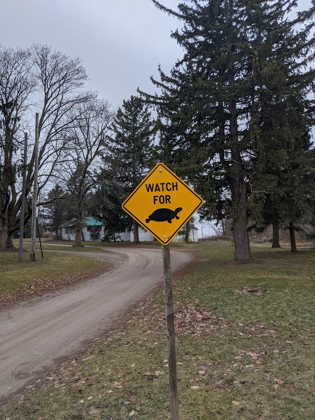 Bow Park Farm Limousin Cattle | 140 Oxbow Rd, Brantford, ON N3T 5L6, Canada | Phone: (905) 483-5161