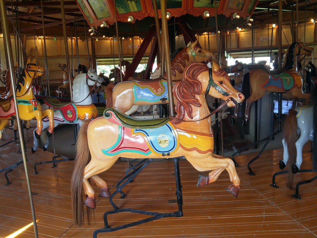The Roseneath Carousel | 9109 45, Roseneath, ON K0K 2X0, Canada | Phone: (905) 352-3778