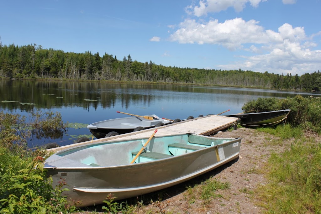 Pourvoirie Du Forestier | 481 Rte Trans Comté #151, Montmagny, QC G5V 3R9, Canada | Phone: (418) 248-2625