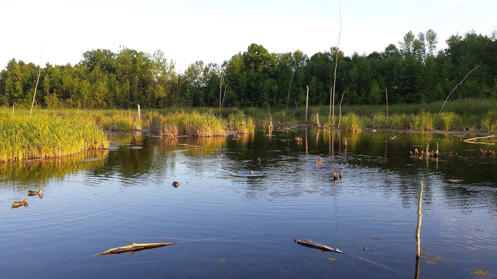 Bois-de-lÎle-Bizard Nature Park | 2115 Chemin du Bord-du-Lac, LÎle-Bizard, QC H9C 1P3, Canada | Phone: (514) 280-8517