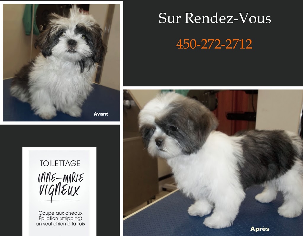 Toilettage Anne-Marie Vigneux | 274 Boulevard Saint-Luc local 250, Saint-Jean-sur-Richelieu, QC J2W 1C3, Canada | Phone: (450) 272-2712