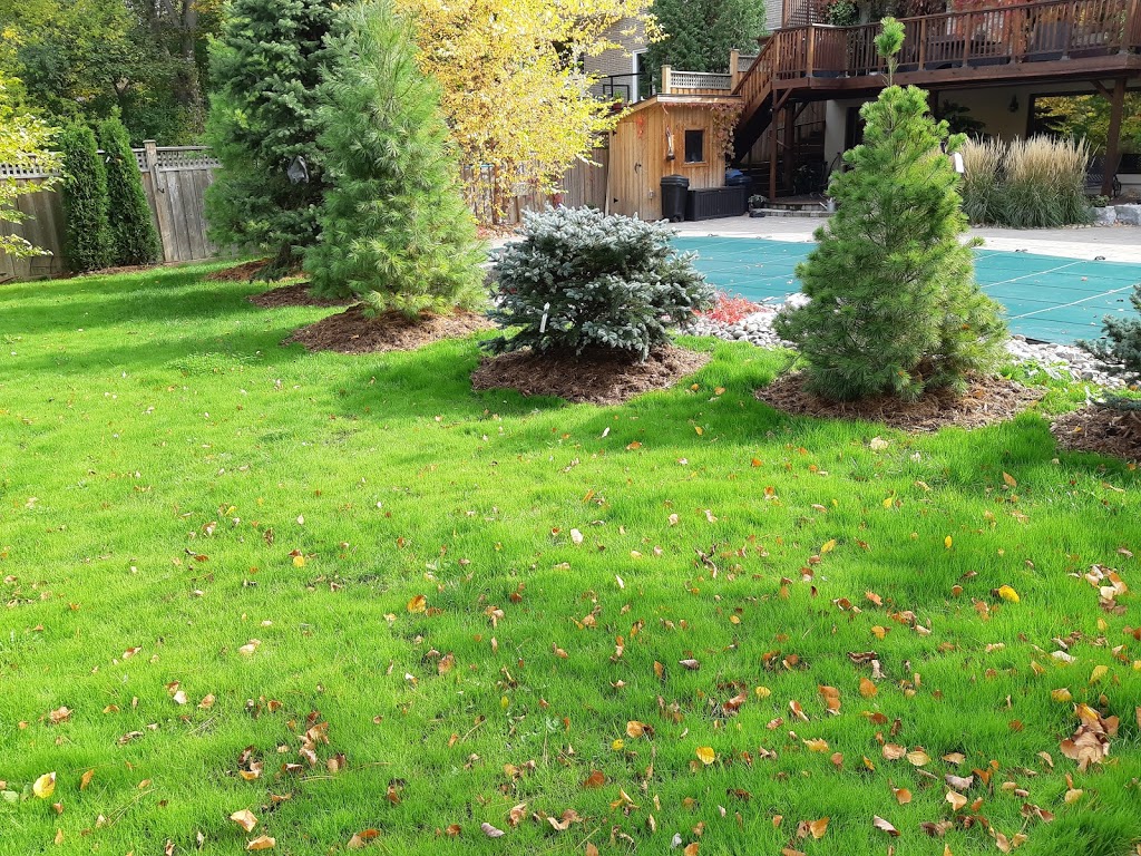 Alellandscaping Inc. | 62 Ivy Glen Dr, Maple, ON L6A 0P3, Canada | Phone: (416) 318-8144