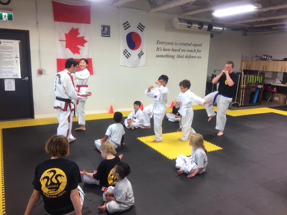 Hydra Martial Arts - South Location | 11166 42 St SE, Calgary, AB T2C 0J9, Canada | Phone: (403) 809-8856