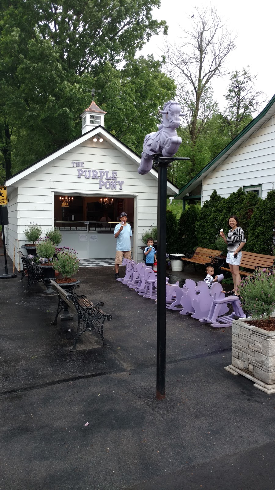 The Purple Pony Ice Cream Shop | 346 Wilson St E, Ancaster, ON L9G 2C2, Canada | Phone: (905) 928-1110