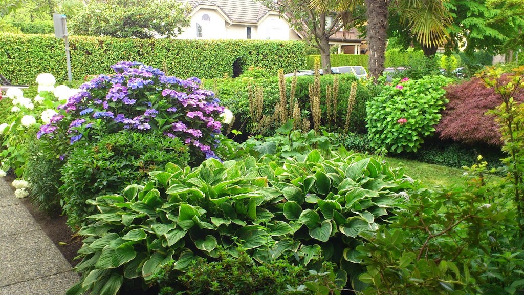 ADL Landscaping Ltd. | PO 16157, North Vancouver, BC V7J 3S9, Canada | Phone: (604) 558-1235