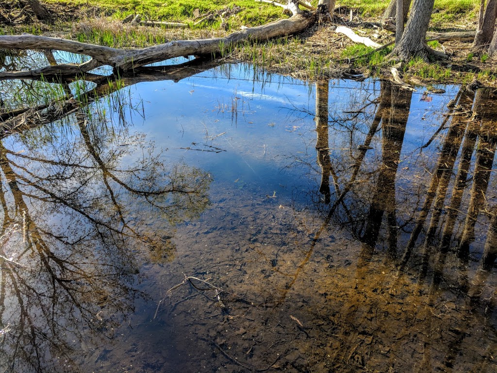 Times Beach Nature Preserve | Coast Guard Station S Rd, Buffalo, NY 14203, USA | Phone: (716) 896-1271