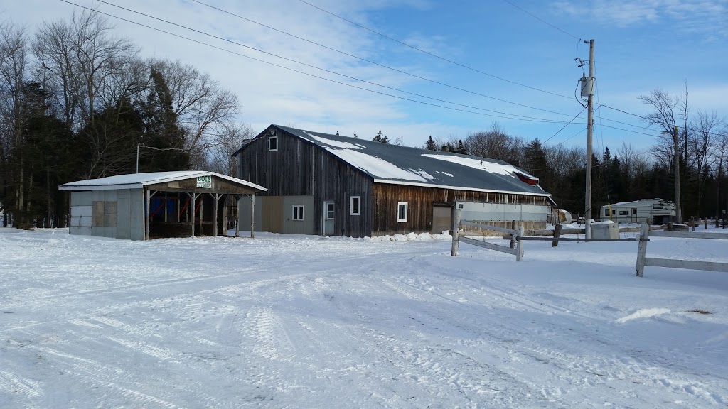 Centre dÉquitation Ranch Chez Ti-Gars | 38 Rue des Cavaliers, Saint-Étienne-de-Lauzon, QC G6J 1H7, Canada | Phone: (418) 831-2400