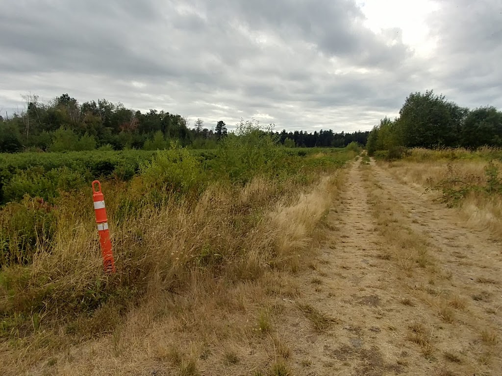 Hakkak’s Natural Blueberry Farm | 8731 No 5 Rd, Richmond, BC V6Y 2V5, Canada | Phone: (604) 364-9525