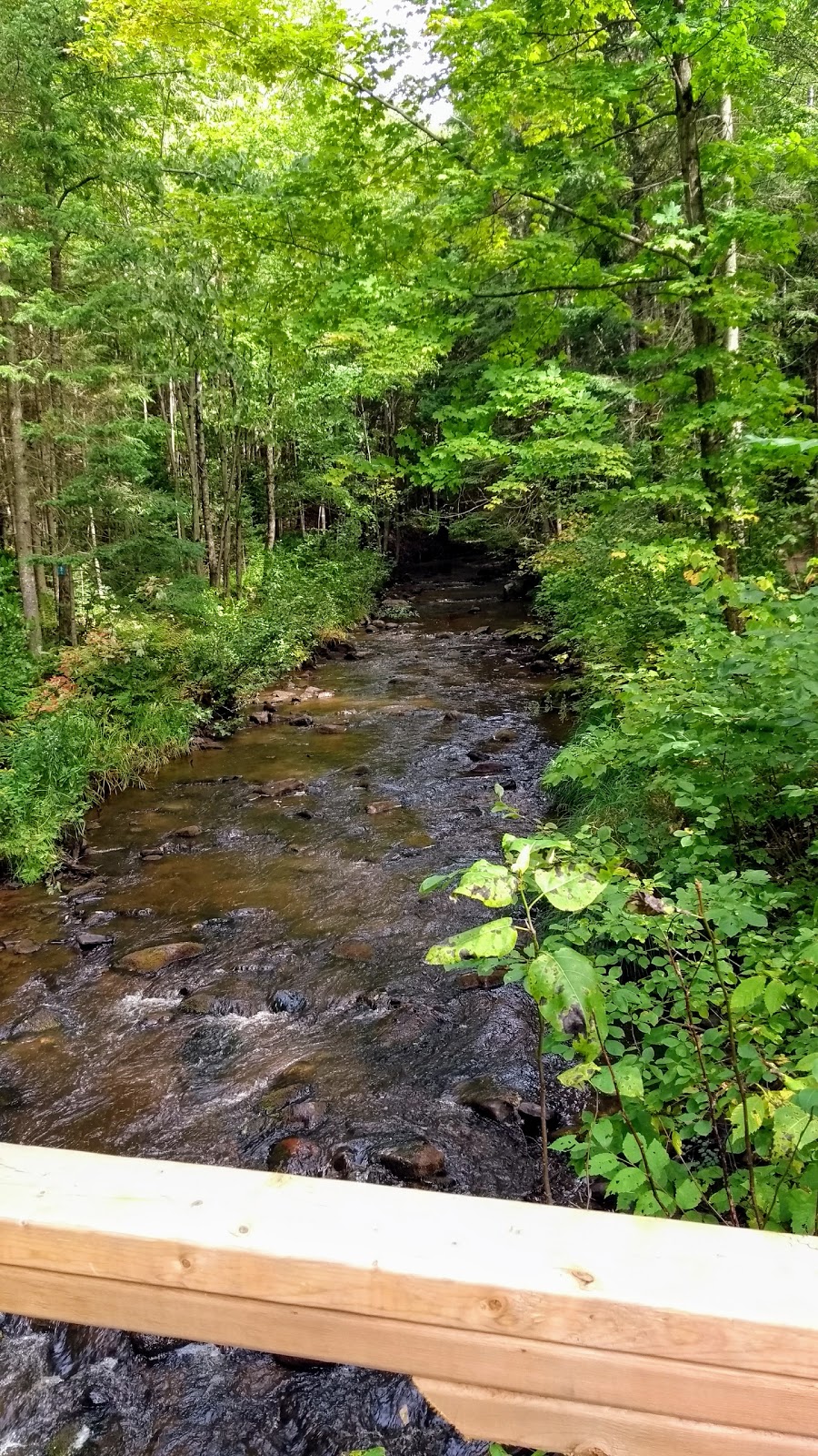 Park of the Gentilly river | 1000 Route des Flamants, Sainte-Marie-de-Blandford, QC G0X 2W0, Canada | Phone: (819) 298-2455