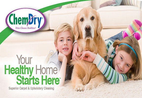 Action Chem-Dry Carpet Cleaning | 1209 North Service Rd E, Oakville, ON L6H 1A7, Canada | Phone: (905) 335-4394