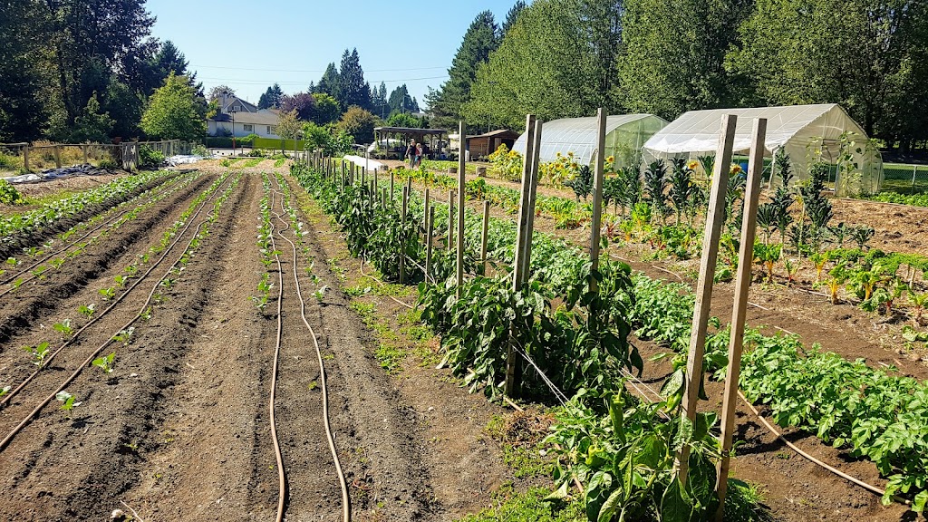 Loutet Farm | 1400 Rufus Ave, North Vancouver, BC V7L 4J2, Canada | Phone: (604) 987-8138