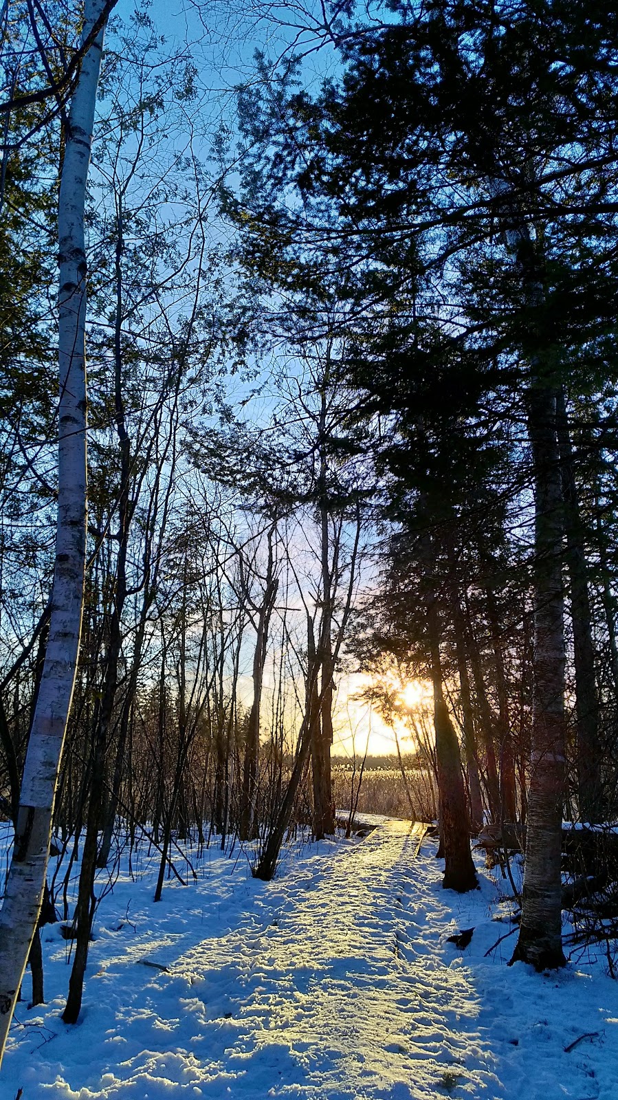 Jack Pine Trail | Moodie Dr, Nepean, ON K2R 1H4, Canada