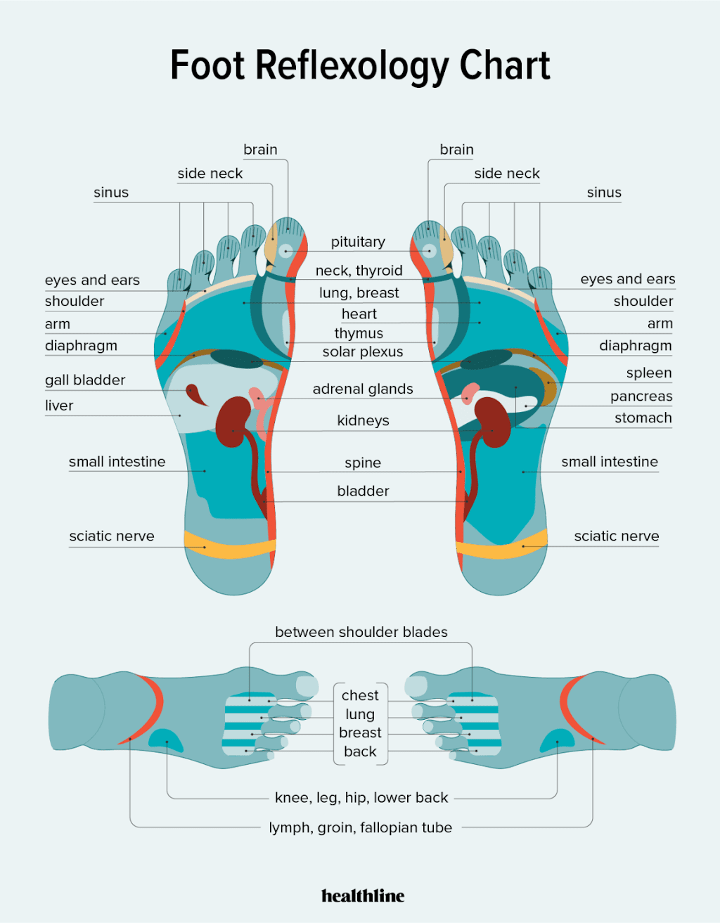 Feet in Flight Mobile Reflexology | 9 Mill St, Quinte West, ON K0K 2C0, Canada | Phone: (613) 885-8862