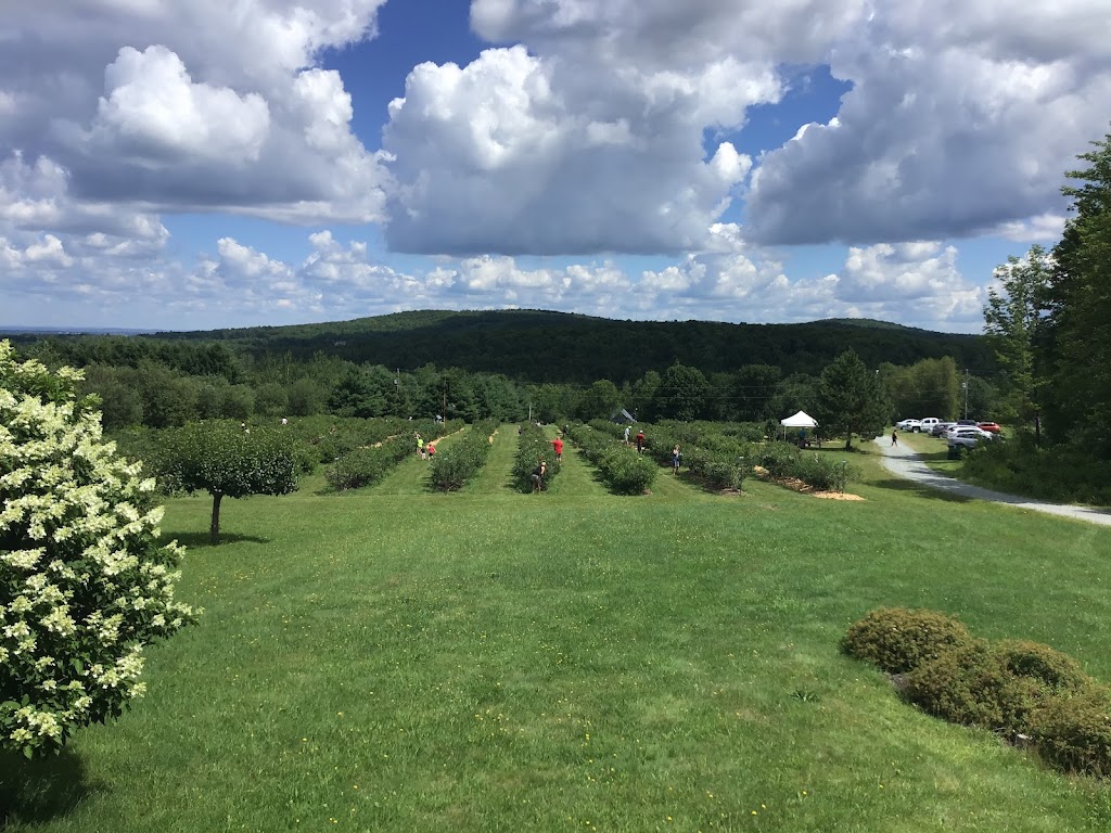 BLEUETIÈRE Les jardins bleus | 4 Chem. Montplaisir, Hatley, QC J0B 2C0, Canada | Phone: (438) 321-5666