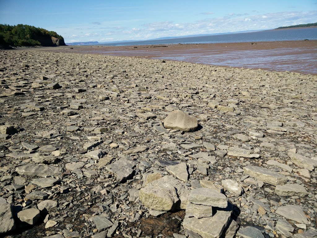 Blue Beach Fossil Museum | 127 Blue Beach Rd, Hantsport, NS B0P 1P0, Canada | Phone: (902) 790-9541