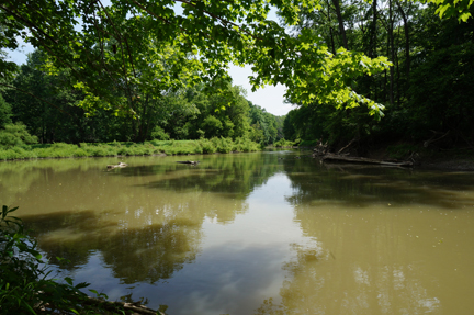 Sydenham River Nature Reserve | 2740 Buttonwood Dr, Glencoe, ON N0L 1M0, Canada | Phone: (800) 440-2366