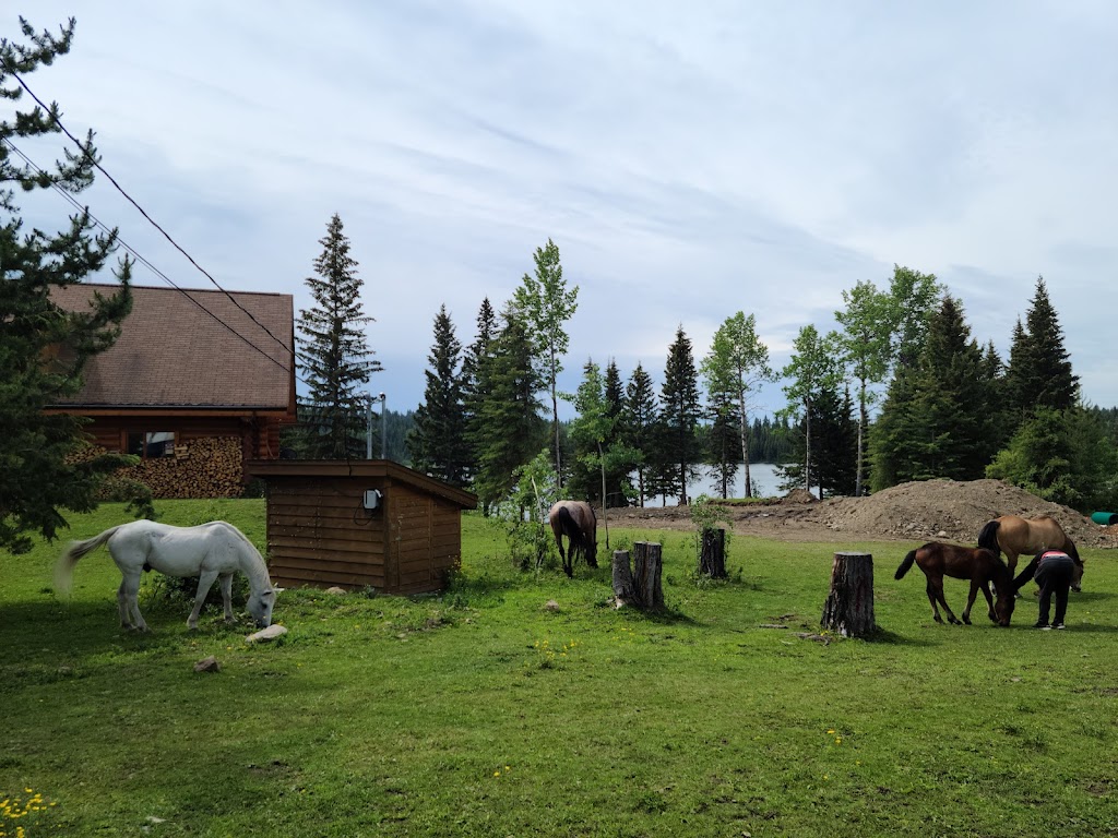 Wettstone Guest Ranch | 7736 High Country Rd, Bridge Lake, BC V0K 1E0, Canada | Phone: (250) 593-4487