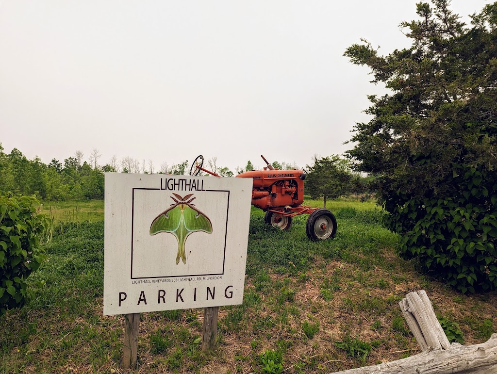 Lighthall Vineyards | 308 Lighthall Rd, Milford, ON K0K 2P0, Canada | Phone: (613) 767-9155