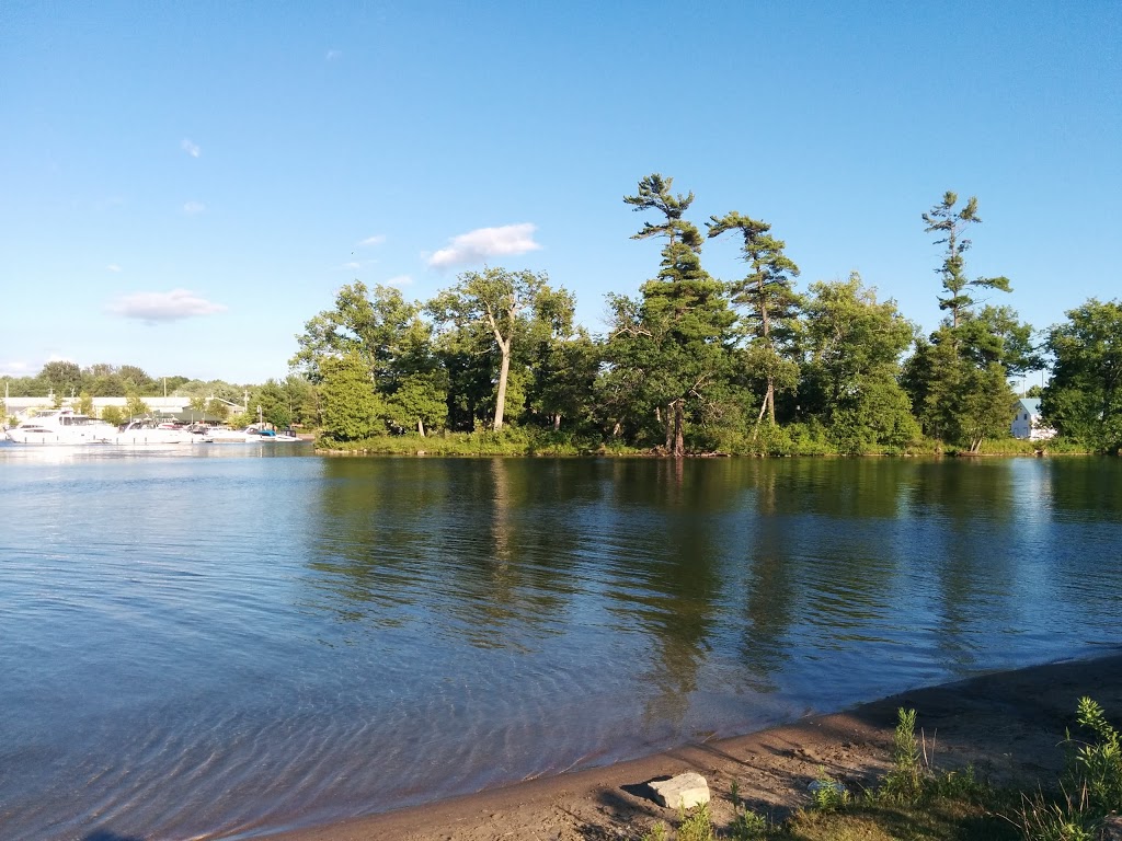 Lakefield Park & Campground | 59 Hague Blvd, Lakefield, ON K0L 2H0, Canada | Phone: (705) 652-8610