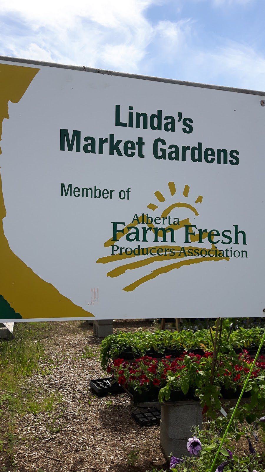 Lindas Market Gardens Ltd | 5504 44 Ave, Smoky Lake, AB T0A 3C0, Canada | Phone: (780) 656-2401