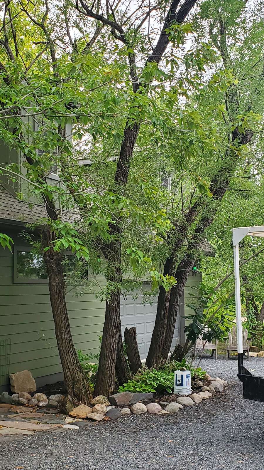 Stevens Tree Specialists | 36 Berwyn Bay, Winnipeg, MB R2C 2W2, Canada | Phone: (204) 955-3227