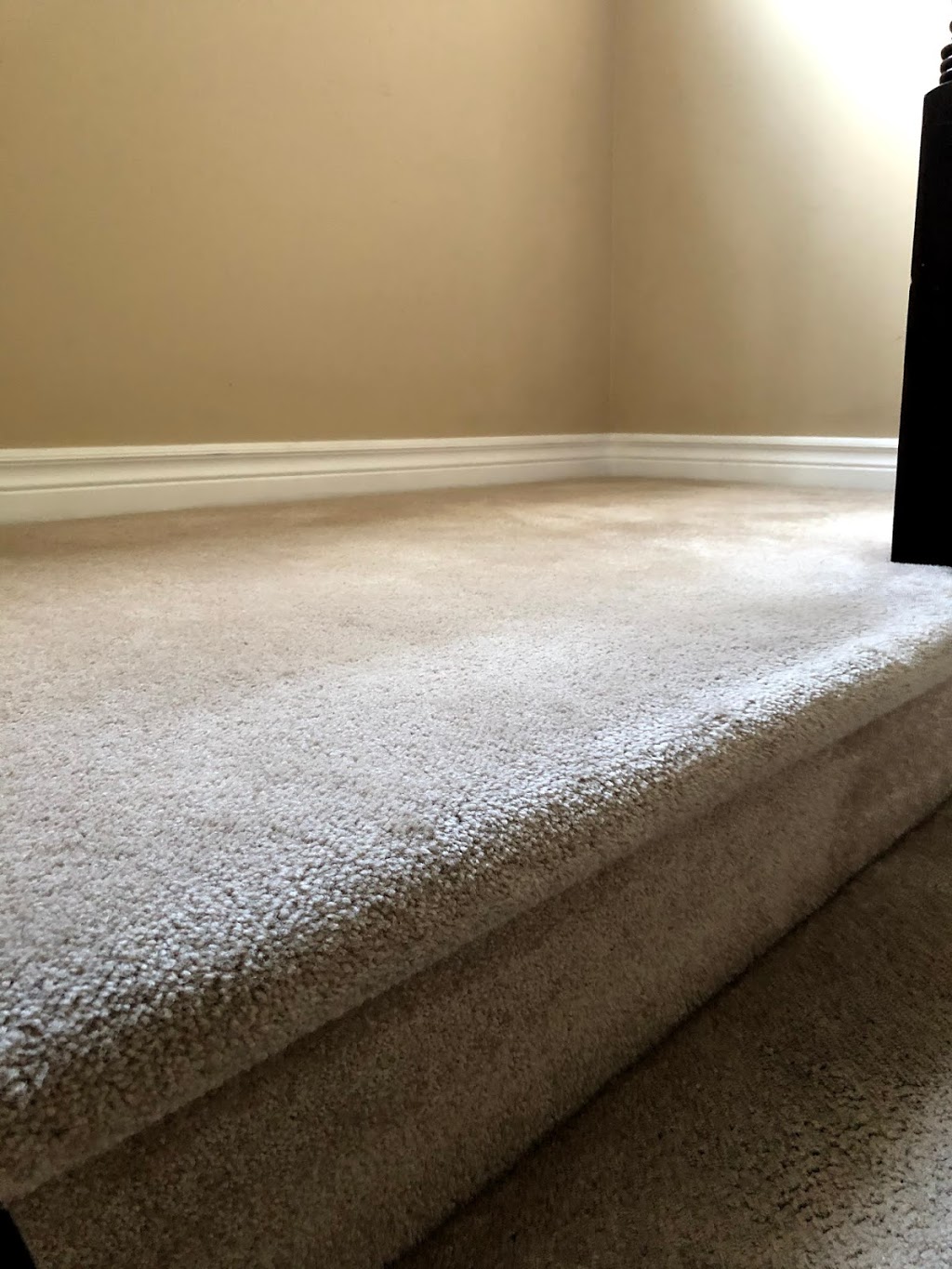 Quality Carpet Cleaners | 1 Starling Crescent, Nepean, ON K2J 2N7, Canada | Phone: (613) 302-0563