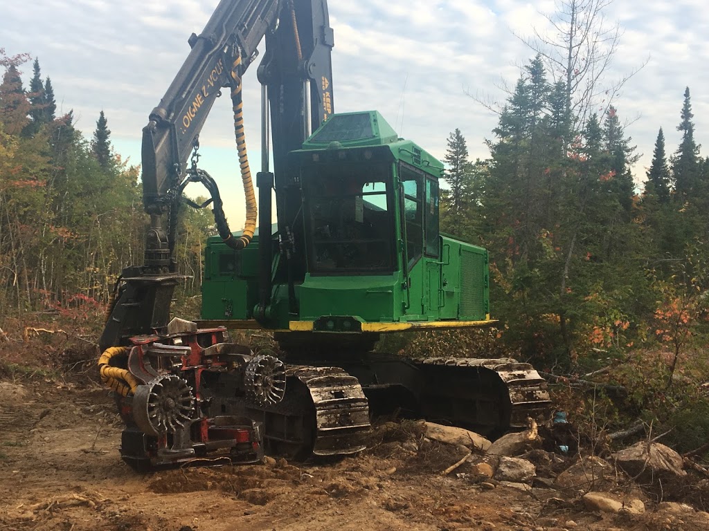 Nicolas Gagné - Aménagement forestier | 56 Rue de la Forêt, Notre-Dame-des-Monts, QC G0T 1L0, Canada | Phone: (418) 240-0319