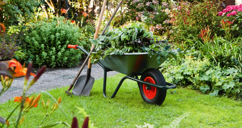 Brighton Lawn and Garden services | 96 Main St, Brighton, ON K0K 1H0, Canada | Phone: (647) 297-4278