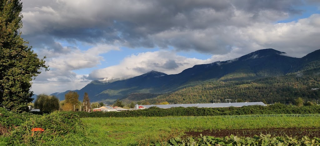 Forstbauer Family Natural Food Farm | 49350 Prairie Central Rd, Chilliwack, BC V2P 6H3, Canada | Phone: (604) 794-3999