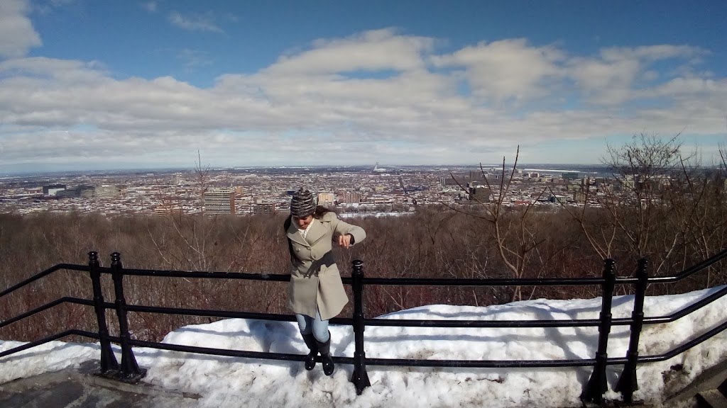 Belvédère Camillien-Houde | Voie Camillien-Houde, Mont-Royal, QC H3R 1K2, Canada | Phone: (514) 872-0311