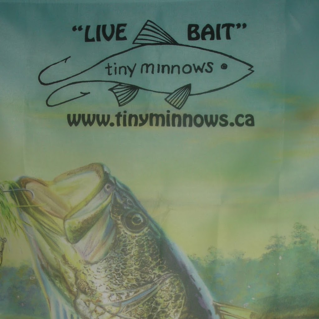 Tiny Minnows | 23 Glendale Rd, Tiny, ON L9M 0C2, Canada | Phone: (705) 896-5795