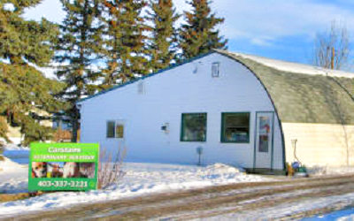 Carstairs Veterinary Clinic | 901B AB-2A, Carstairs, AB T0M 0N0, Canada | Phone: (403) 337-3221