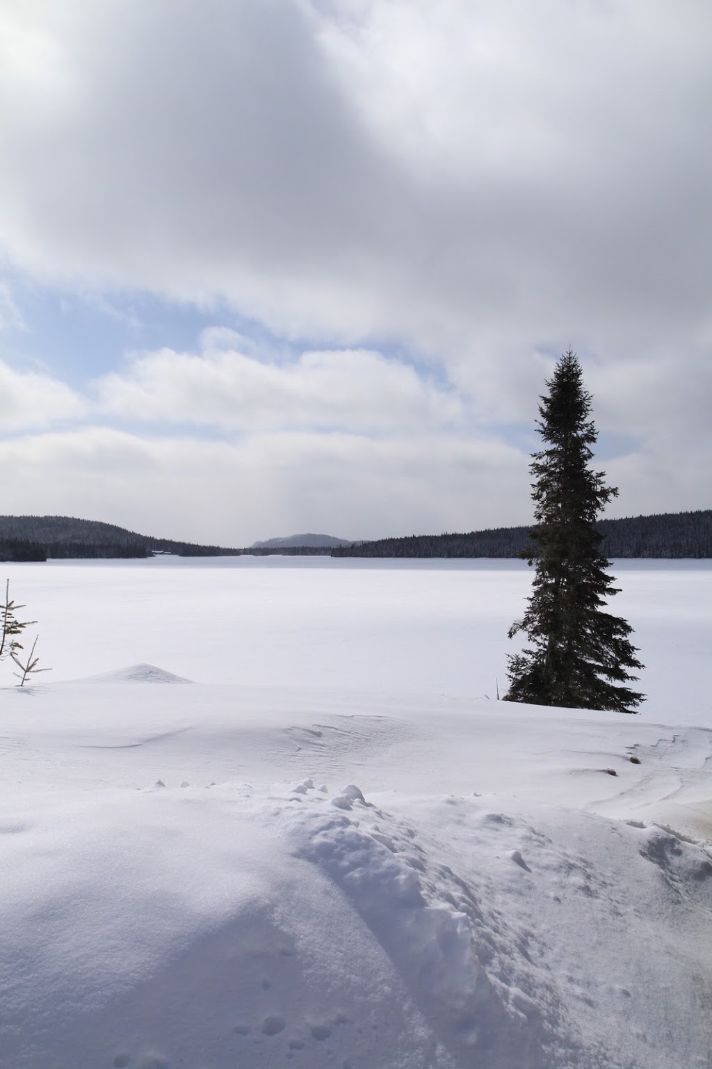 Camp Mercier | Réserve Faunique des Laurentides, Route 175, Lac-Jacques-Cartier, QC G0A 3K0, Canada | Phone: (418) 848-2422