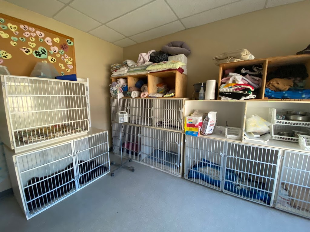 Hôpital Vétérinaire de Shediac Veterinary Hospital | 301-A Main St, Shediac, NB E4P 2A9, Canada | Phone: (506) 532-8081