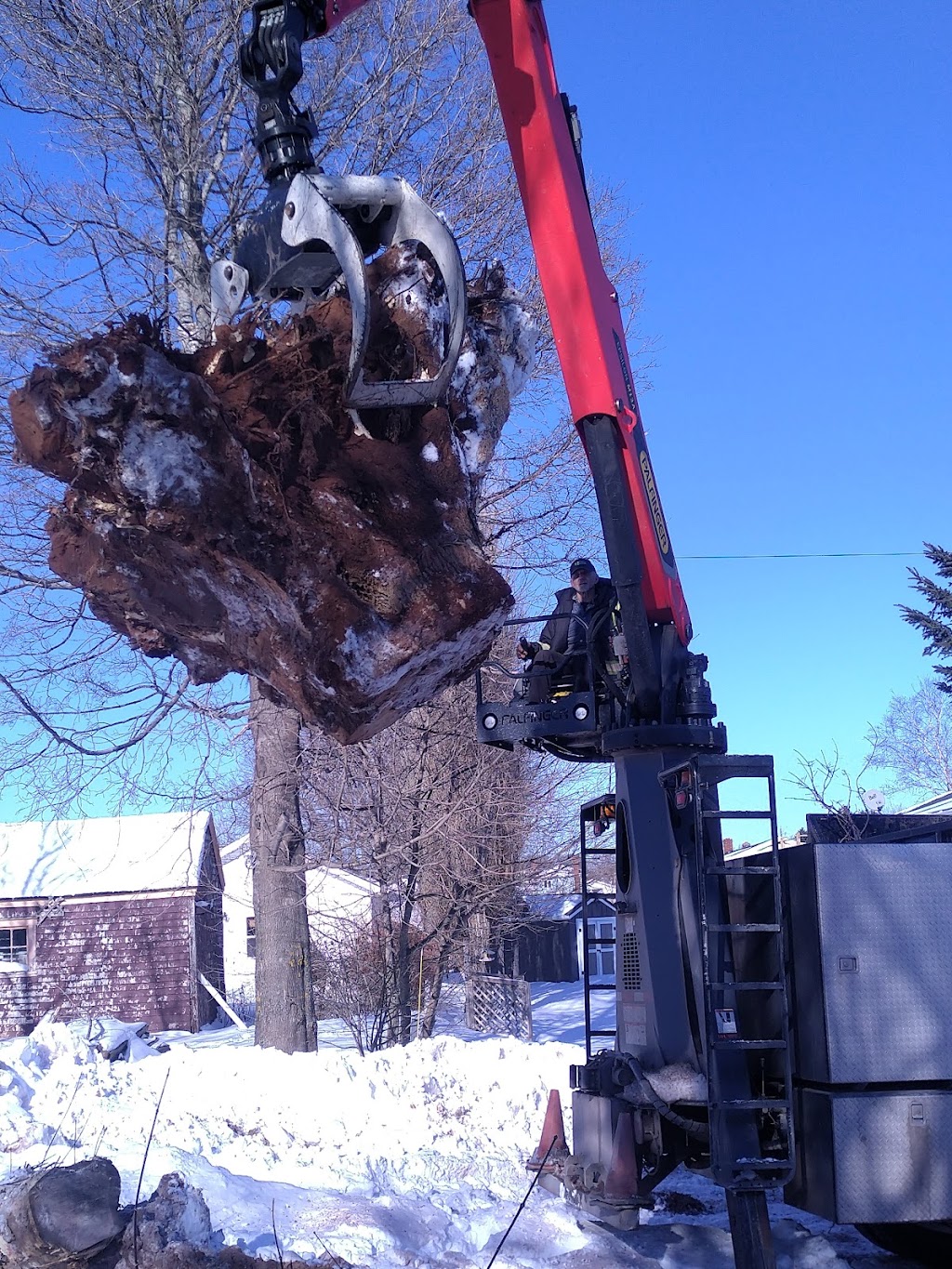 Branch Manager Tree Service | 137 Lady Slipper Dr N, Miscouche, PE C0B 1T0, Canada | Phone: (902) 672-2584