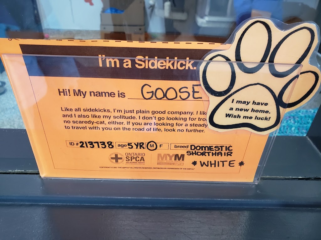 Ontario SPCA Provincial Education & Animal Centre | 16586 Woodbine Ave, Whitchurch-Stouffville, ON L4A 2W3, Canada | Phone: (905) 898-7122