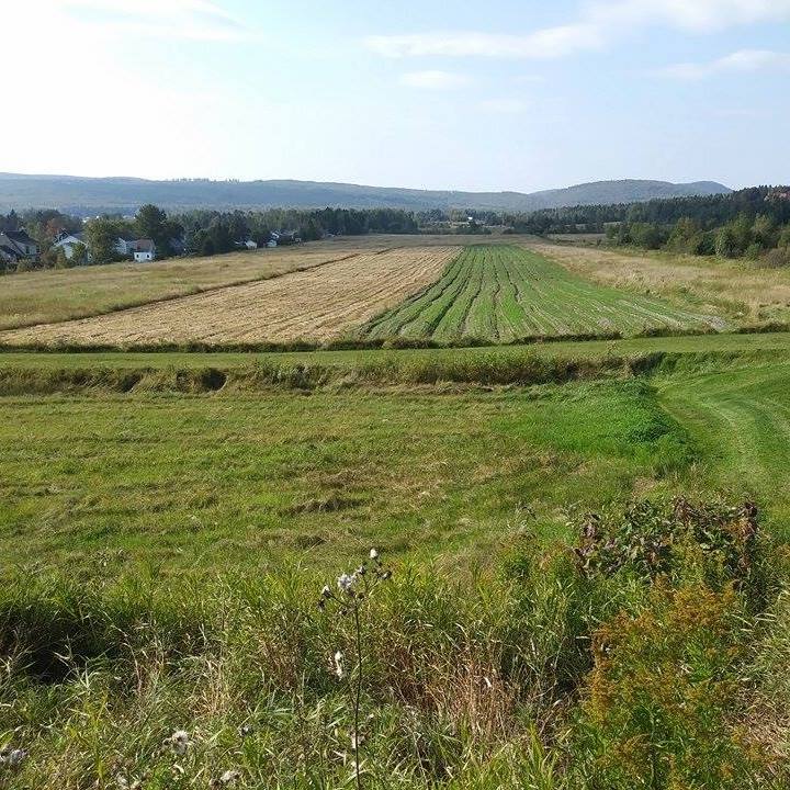 Aux Jardins De Disraeli | 7945 Rang 5 de Disraëli, Disraeli, QC G0N 1E0, Canada | Phone: (418) 281-9555