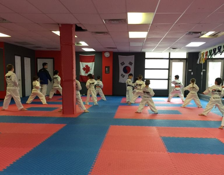 Black Belt World | 2765 Lake Shore Blvd W, Etobicoke, ON M8V 1C6, Canada | Phone: (416) 253-9113