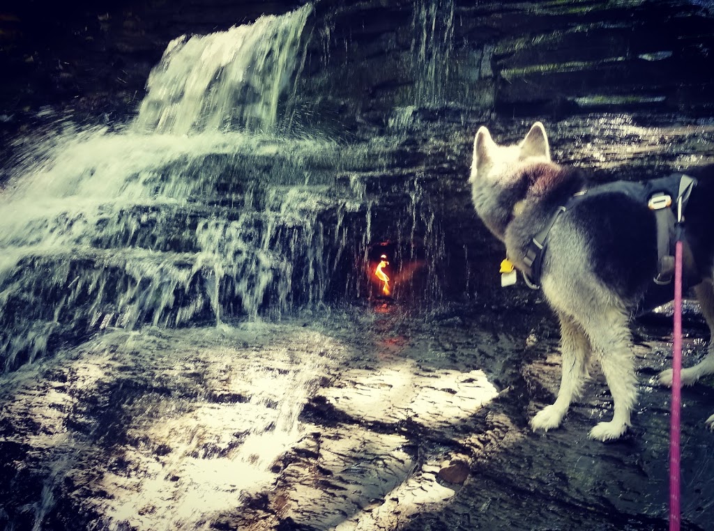 Eternal Flame | Eternal Flame, Orchard Park, NY 14127, USA