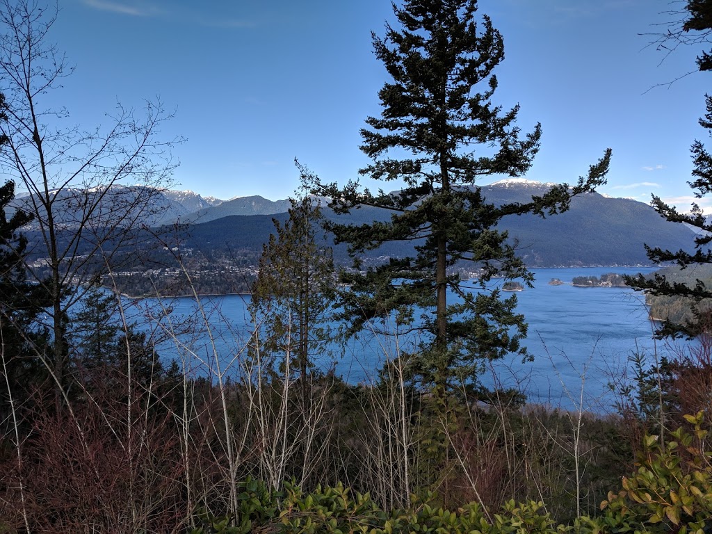 Velodrome Trail | Velodrome Trail, Burnaby, BC V5A 2X9, Canada