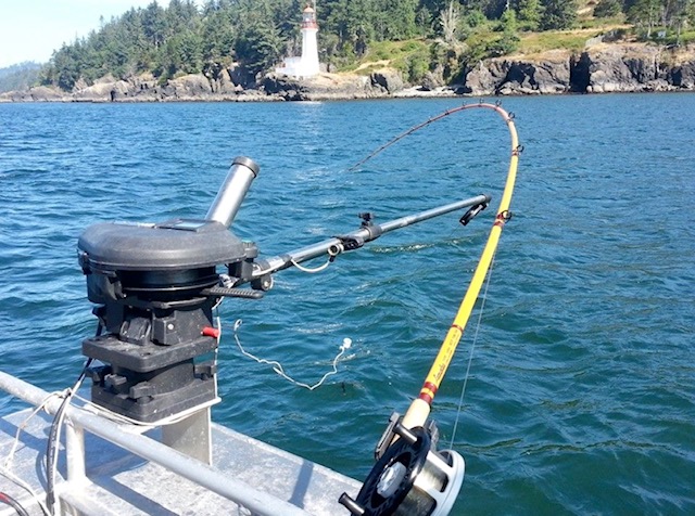 Crab Shack Sportfishing | 6947 W Coast Rd, Sooke, BC V9Z 0V1, Canada | Phone: (250) 642-4410