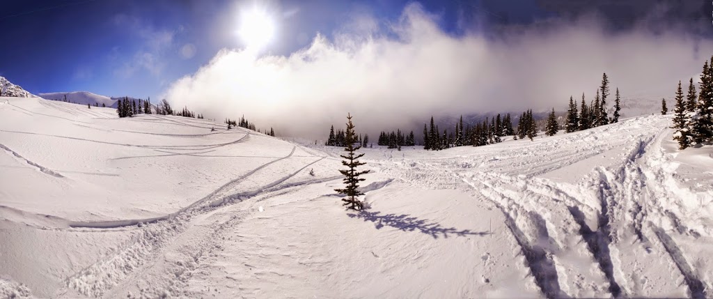 Alpine Lodge Hostel | 8135 Alpine Way, Whistler, BC V0N 1B8, Canada | Phone: (604) 932-5966