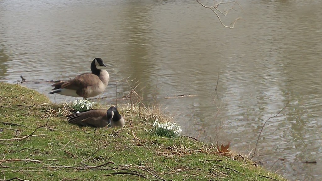 North Shore Park | Stratford, ON N5A, Canada