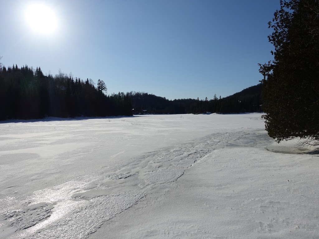 LOurs Laurentien | 129 Chemin du Grand Duc, Saint-Faustin-Lac-Carré, QC J0T 1J2, Canada | Phone: (514) 799-1780