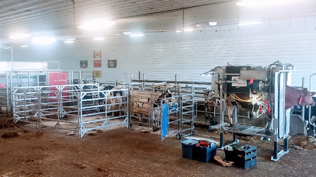 Rippleview Hoof Care Ltd. | Road 22W, Carman, MB R0G 0J0, Canada | Phone: (204) 771-8943