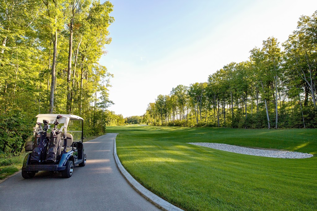 The Nest Golf Club | 3800 Friday Dr, Innisfil, ON L9S 3E1, Canada | Phone: (705) 812-8880 ext. 8137