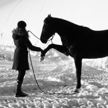 Universe Cheval - Equestrian Center | 1540 Chemin Saint-Henri, LÉpiphanie, QC J5X 3N2, Canada | Phone: (450) 588-0080